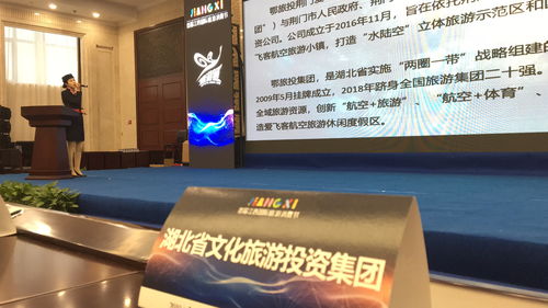 鄂旅投荆门爱飞客公司亮相首届江西国际旅游消费节 文化产业投资成果斐然