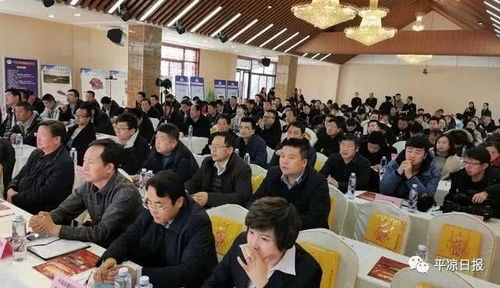 平凉文旅投公司聚力优势项目 深化文化产业投资布局