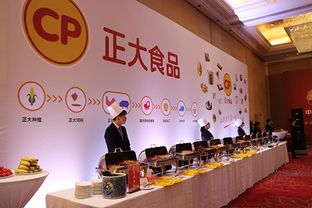 正大集团文化产业投融资战略 以文化为桥，连接未来